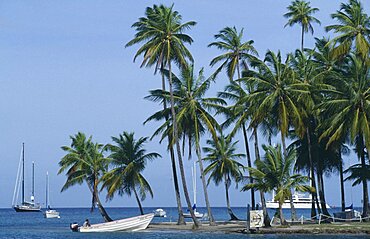 Cruise ship yachts and motor boat in bay with beach and palms, Marigot Bay, St Lucia