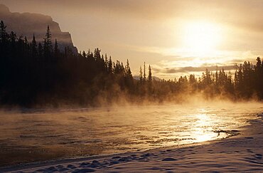 CANADA Alberta  Lake Louise Sunrise over misty Bow River and tree lined bank