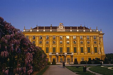 Schonbrunn Palace, Exterior and wisteria hedge, Vienna, Austria