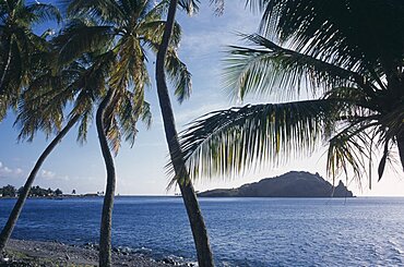 Shoreline and bay with palm trees in foreground, Scotts Head, Dominica
