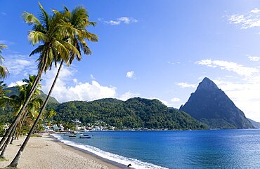 Soufriere beach lined with coconut palm trees with the town and the volcanic plug mountain of Petit Piton beyond, Soufriere, St Lucia