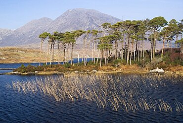 Derryclare Lough with Maumturk Mountains behind, Ireland, Eire