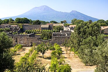 View over the eastern section of the ruined city with Vesuvius in the background, Pompei, Italy, Europe