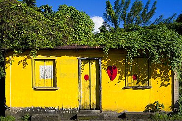 An overgrown yellow single storey building with the red heart symbol of the NDC National Democrtaic Congress political party painted on its wall, Caribbean