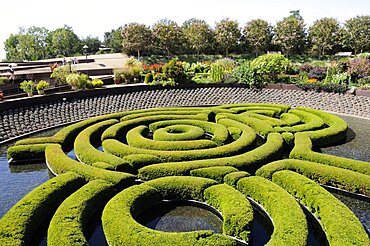 Azalea maze central garden Getty Centre, United States of America