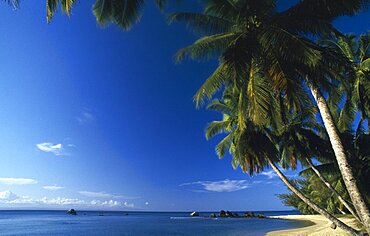 MADAGASCAR  Isle St Marie Empty beach scene with palm lined shore