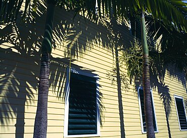 USA, Florida, Key West, Detail of calpperboard building with palm trees and shadows