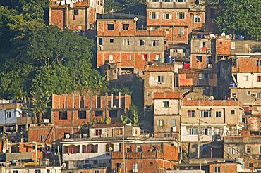 BRAZIL Rio de Janeiro Favela or slum on hillside above Copacabana neighbourhood, red brick houses greenery and TV dish antenna