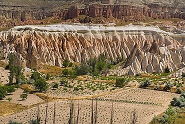 Turkey, Cappadocia, Goreme, View across Rose Valley in foreground towards Red Valley behind. Cultivated land and eroded peaks of volcanic tufa rock formations.