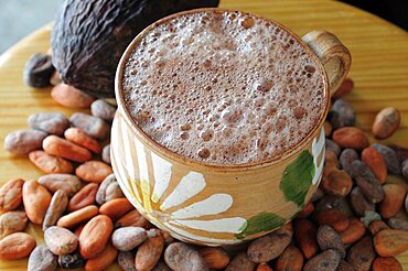 Chocolate caliente hot chocolate in painted cup with cocoa beans and pod, Oaxaca, Mexico