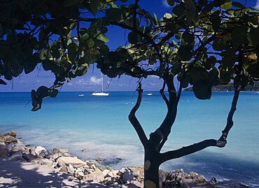 WEST INDIES Antigua Dickenson Bay View across clear  aquamarine water towards distant yachts divided and partly framed by tree in shadow in the foreground.