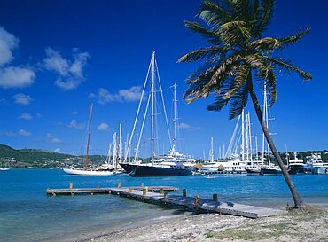 WEST INDIES Antigua Falmouth Harbour Wooden jetty beneath palm tree leading into harbour with moored yachts.