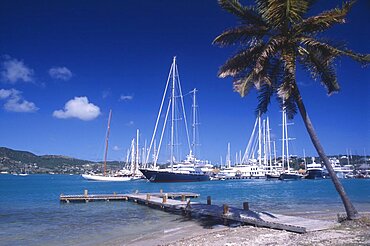 WEST INDIES Antigua Falmouth Harbour Wooden jetty under leaning palm tree extended into harbour with moored yachts and other boats.