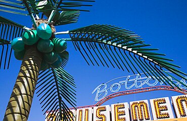 England, Lincolnshire, Skegness, Plastic artificial Palm Tree with amusement arcade behind in clear blue sky.