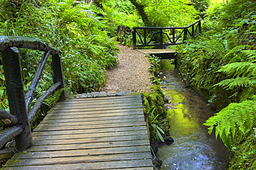 Walkways through the lush valley of Shanklin Chine, Shanklin, Isle of Wight, England, United Kingdom, Europe