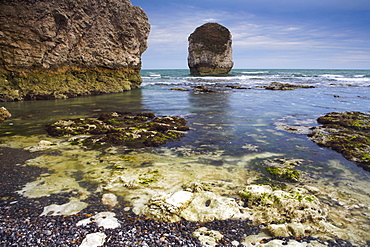 Chalk cliffs and sea ledges, Freshwater Bay, Isle of Wight, England, United Kingdom, Europe