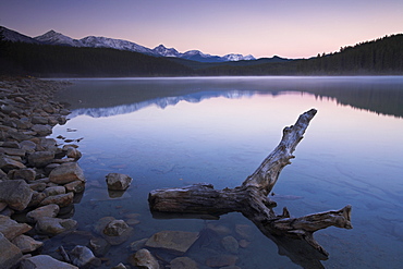 Cold frosty morning at Patricia Lake, Jasper National Park, UNESCO World Heritage Site, Alberta, Rocky Mountains, Canada, North America