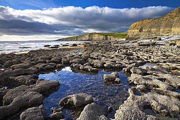 Rock pools on the ledges at Dunraven Bay, Southerndown, Wales, United Kingdom, Europe