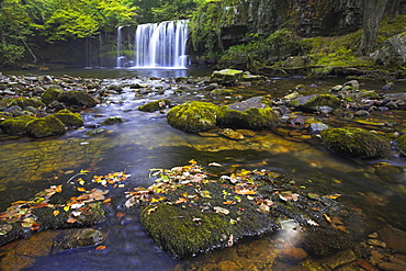 Upper Ddwli waterfall in summer, Brecon Beacons National Park, Powys, Wales, United Kingdom, Europe