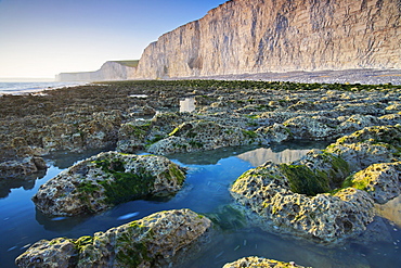 Rock pools below the Seven Sisters white chalk cliffs at Birling Gap, South Downs National Park, East Sussex, England, United Kingdom, Europe