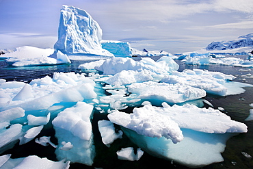 Icebergs grounded in Paradise Bay, Antarctica, Polar Regions