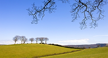 Exmoor countryside near Luccombe, Exmoor National Park, Somerset, England, United Kingdom, Europe