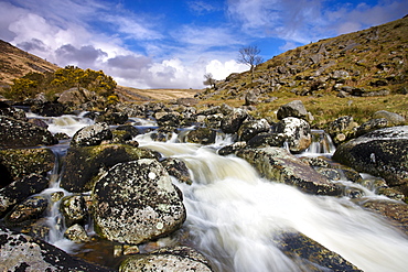 Rocky stream at Tavy Cleave, Dartmoor, Devon, England, United Kingdom, Europe