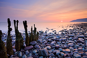 Weathered groynes on Bossington Beach, near to Porlock Weir, Exmoor, Somerset, England, United Kingdom, Europe