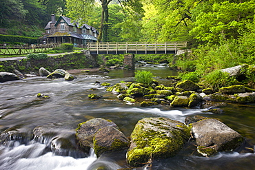 Spring at Watersmeet in Exmoor National Park, Devon, England, United Kingdom, Europe