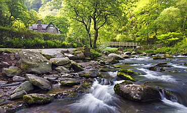 Spring at Watersmeet in Exmoor National Park, Devon, England, United Kingdom, Europe