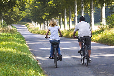 Cyclists on a Dorset country road, Moor Crichel, Dorset, England, United Kingdom, Europe