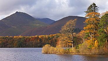 Autumn foliage on the banks of Derwent Water, Keswick, Lake District National Park, Cumbria, England, United Kingdom, Europe