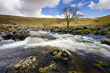 River Tavy flowing through Tavy Cleave, Dartmoor National Park, Devon, England, United Kingdom, Europe