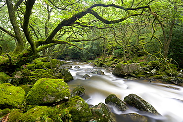 Rocky River Plym near Shaugh Prior in Dartmoor National Park, Devon, England, United Kingdom, Europe