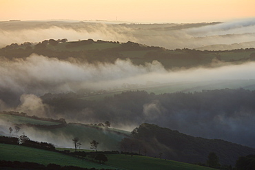 Mist hangs low over the open countryside at dawn, Exmoor National Park, Somerset, England, United Kingdom, Europe