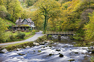 Watersmeet House in autumn, Exmoor National Park, Devon, England, United Kingdom, Europe