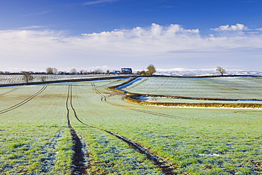 Frost covered farmland in Morchard Bishop, Mid Devon, England, United Kingdom, Europe