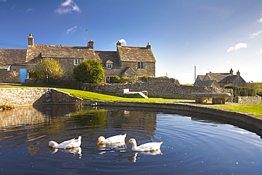 Duckpool in Worth Matravers village green, Dorset, England, United Kingdom, Europe