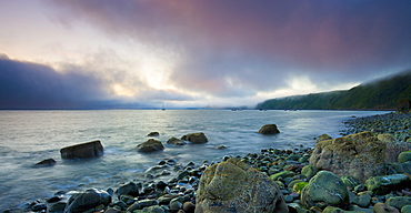 Clearing sea fog tinged pink by the colours of dawn, Clovelly, Devon, England, United Kingdom, Europe