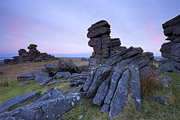 Great Staple Tor at dawn, Dartmoor National Park, Devon, England, United Kingdom, Europe