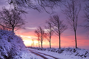 Snow covered country lane at dawn, Exmoor National Park, Somerset, England, United Kingdom, Europe