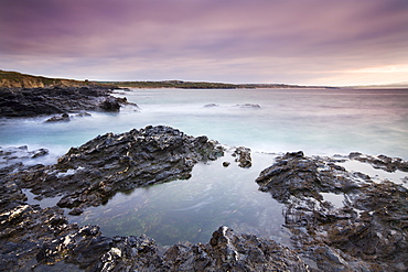 Looking over St Ives Bay towards Hayle from the rocky shores of Godrevy Point at sunset, Cornwall, England, United Kingdom, Europe