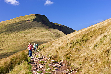 Family walking along a footpath on the slopes of Cribyn, with Pen y Fan in the background, Brecon Beacons, Wales, United Kingdom, Europe