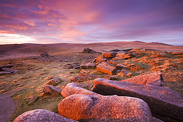 Pink dawn sky above Belstone Tor, Dartmoor National Park, Devon, England, United Kingdom, Europe