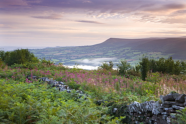 Dry stone wall over the summit of Allt yr Esgair, with views to Llangorse Lake and Mynydd Troed, Brecon Beacons, Powys, Wales, United Kingdom, Europe