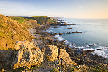 Clifftop vista of Blegberry Bay and Hartland Quay from Damehole Point, Hartland, Devon, England, United Kingdom, Europe