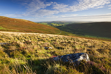 Looking down into Challacombe Down from Grimspound, Dartmoor National Park, Devon, England, United Kingdom, Europe