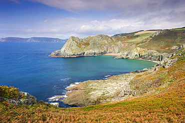 Looking towards Elender Cove and Gammon Head from the South West Coast Path footpath near Prawle Point, South Hams, Devon, England, United Kingdom, Europe