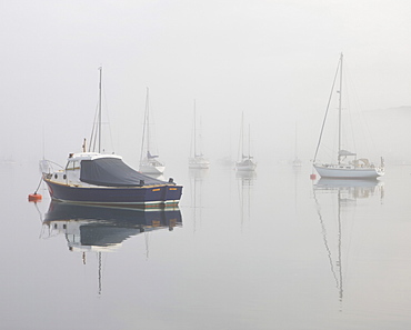 Boats in the autumn mist on Kingsbridge Estuary, Salcombe, South Hams, Devon, England, United Kingdom, Europe