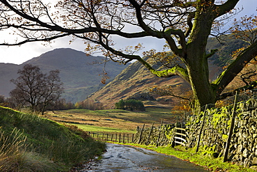 Country lane leading towards Blea Tarn in the Langdale Valley, Lake District National Park, Cumbria, England, United Kingdom, Europe